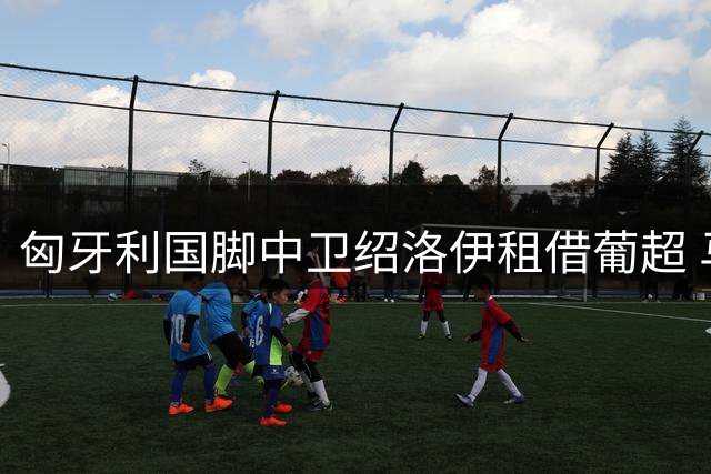 匈牙利国脚中卫绍洛伊租借葡超 马里迪莫防线获强援